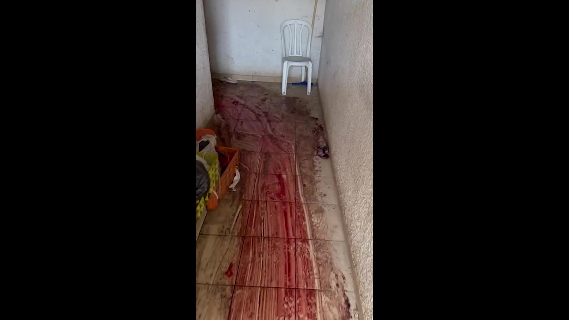 18828771-311.mp4