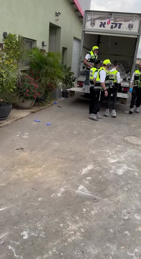bodies.mp4